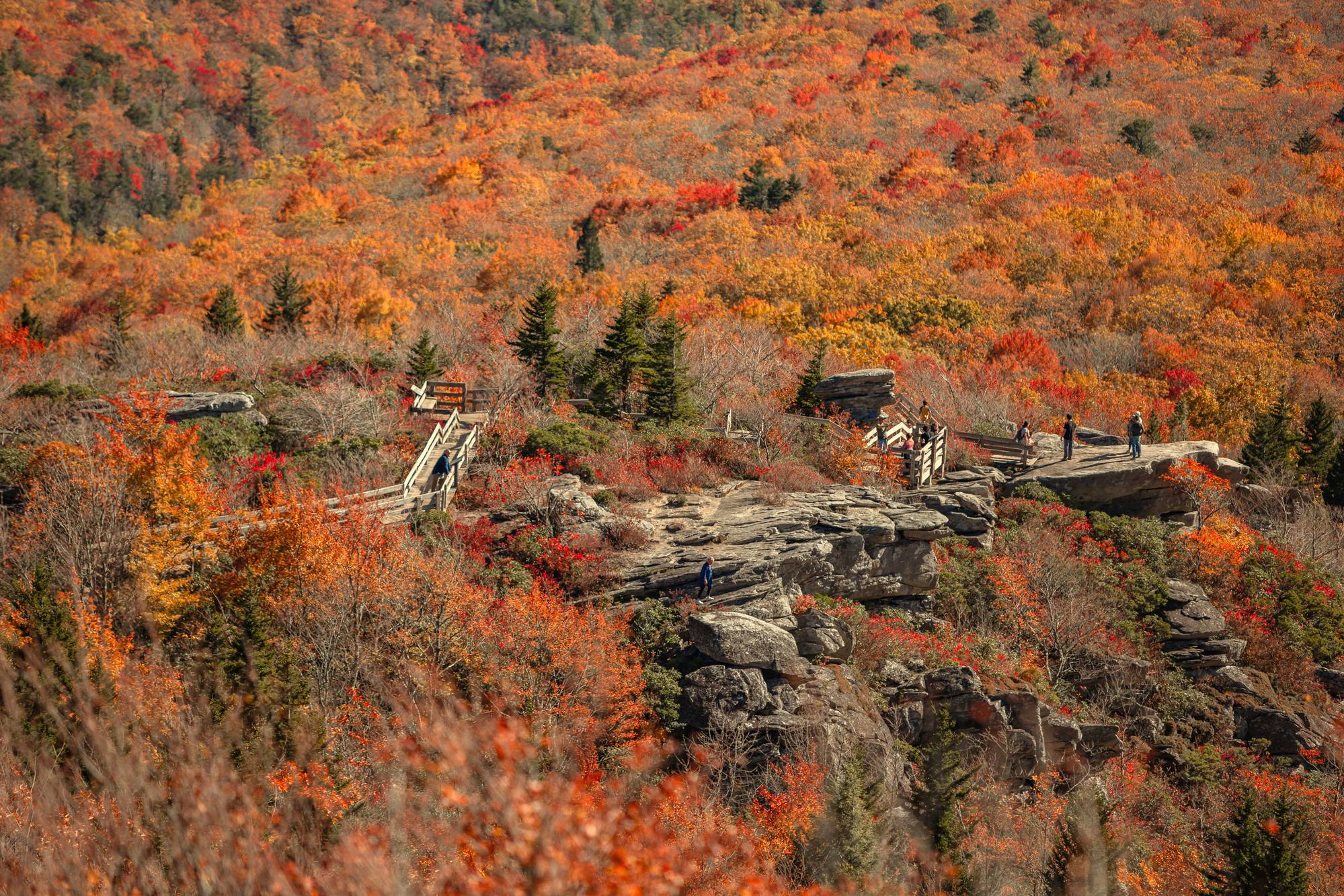 Blue Ridge Parkway